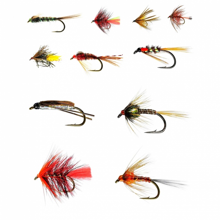 Caledonia Flies Barbed July Stillwater Nymph / Wet Collection Fishing Fly Assortment